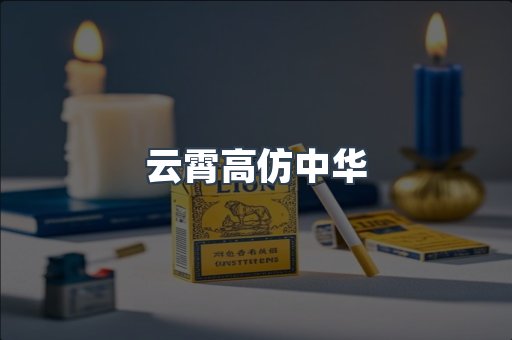 云霄高仿中华